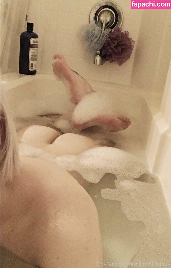 acoalminecanary / ccarolynnn leaked nude photo #0020 from OnlyFans/Patreon