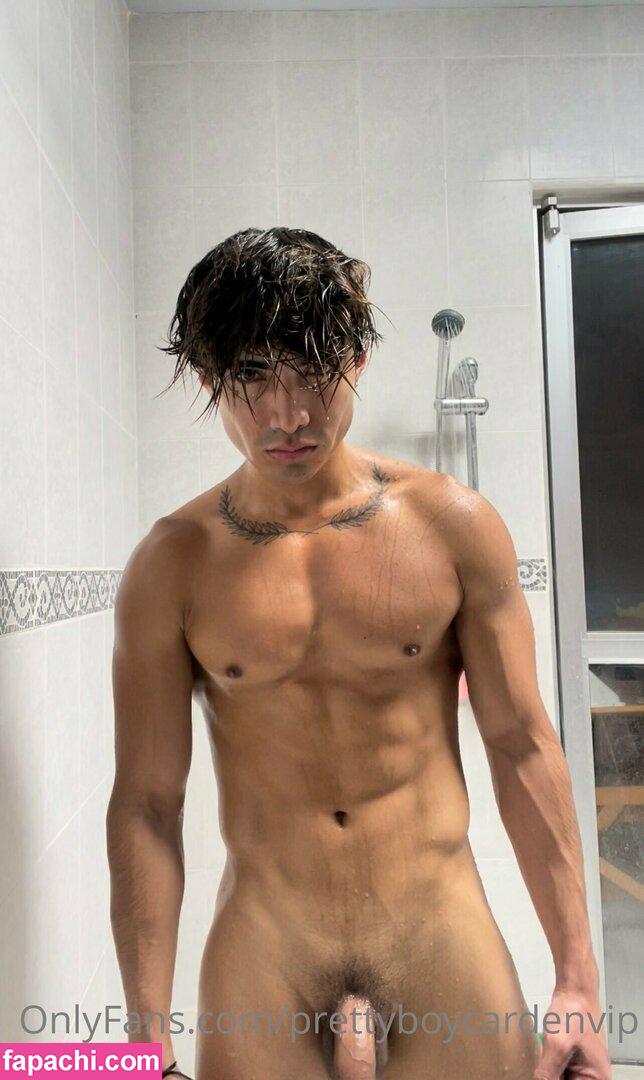 aedanvip / aedan_d23 leaked nude photo #0064 from OnlyFans/Patreon