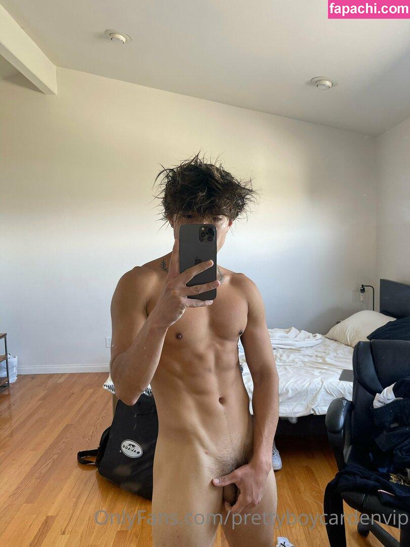 aedanvip / aedan_d23 leaked nude photo #0070 from OnlyFans/Patreon