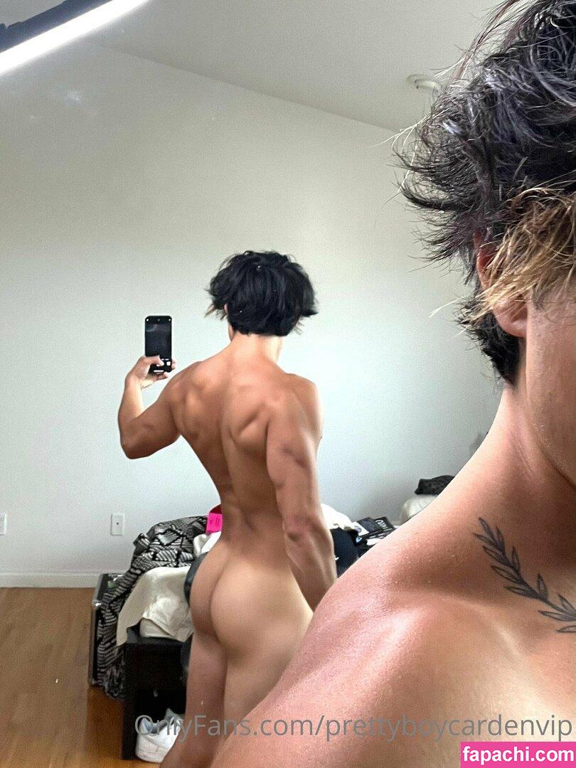 aedanvip / aedan_d23 leaked nude photo #0080 from OnlyFans/Patreon