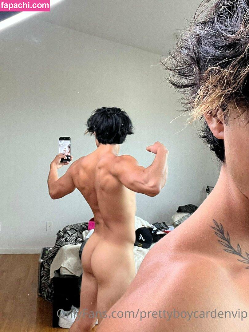 aedanvip / aedan_d23 leaked nude photo #0081 from OnlyFans/Patreon