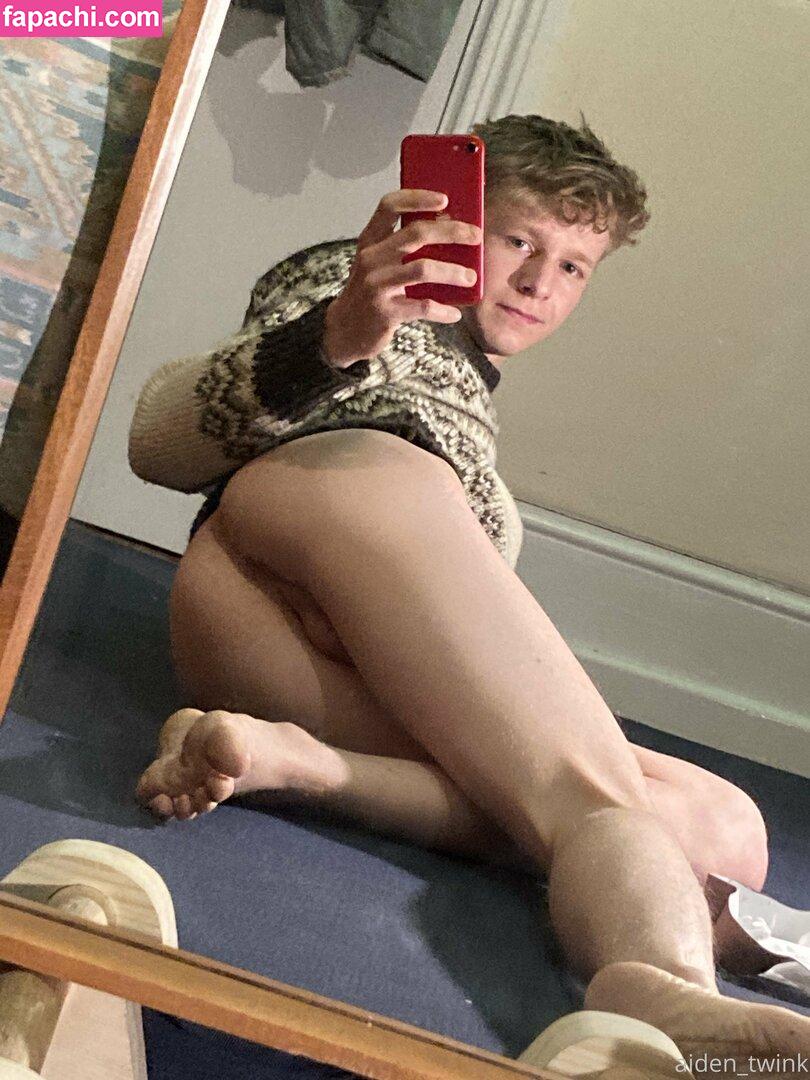 aiden_twink / platinumtwink leaked nude photo #0014 from OnlyFans/Patreon