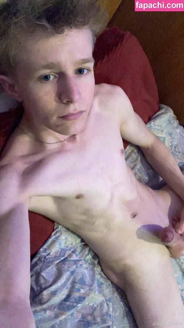 aiden_twink / platinumtwink leaked nude photo #0017 from OnlyFans/Patreon