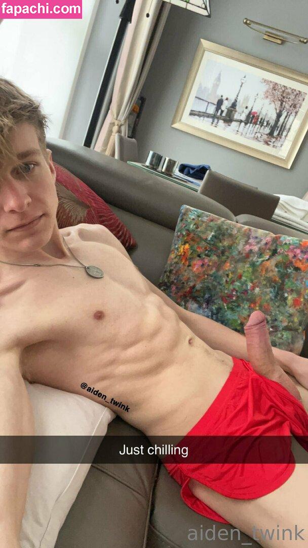 aiden_twink / platinumtwink leaked nude photo #0020 from OnlyFans/Patreon