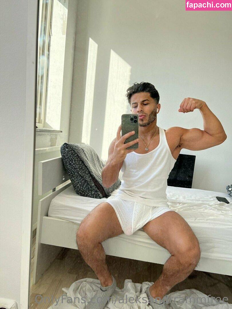 aleksandrrammfree / rammcello leaked nude photo #0101 from OnlyFans/Patreon