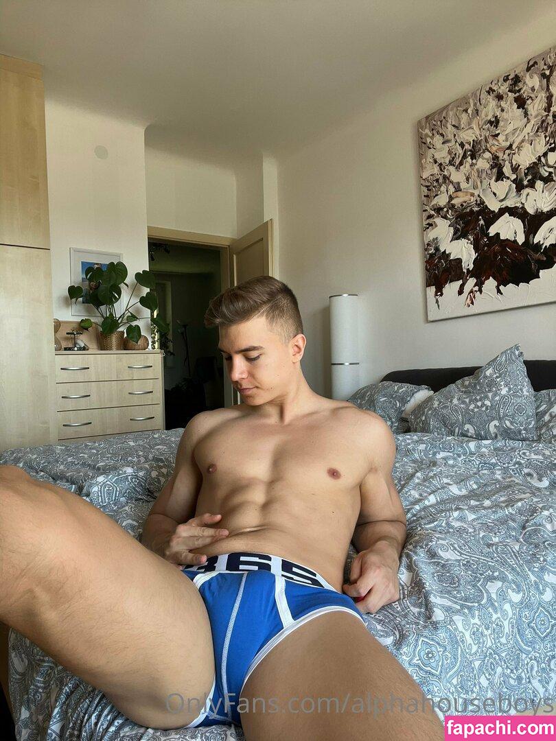 alphahouseboys leaked nude photo #0016 from OnlyFans/Patreon