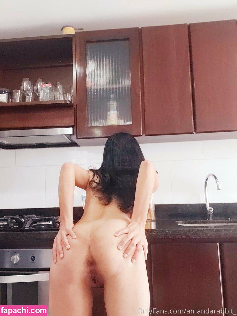 amandarabbit / amandarabbitoficial2022 leaked nude photo #0149 from OnlyFans/Patreon