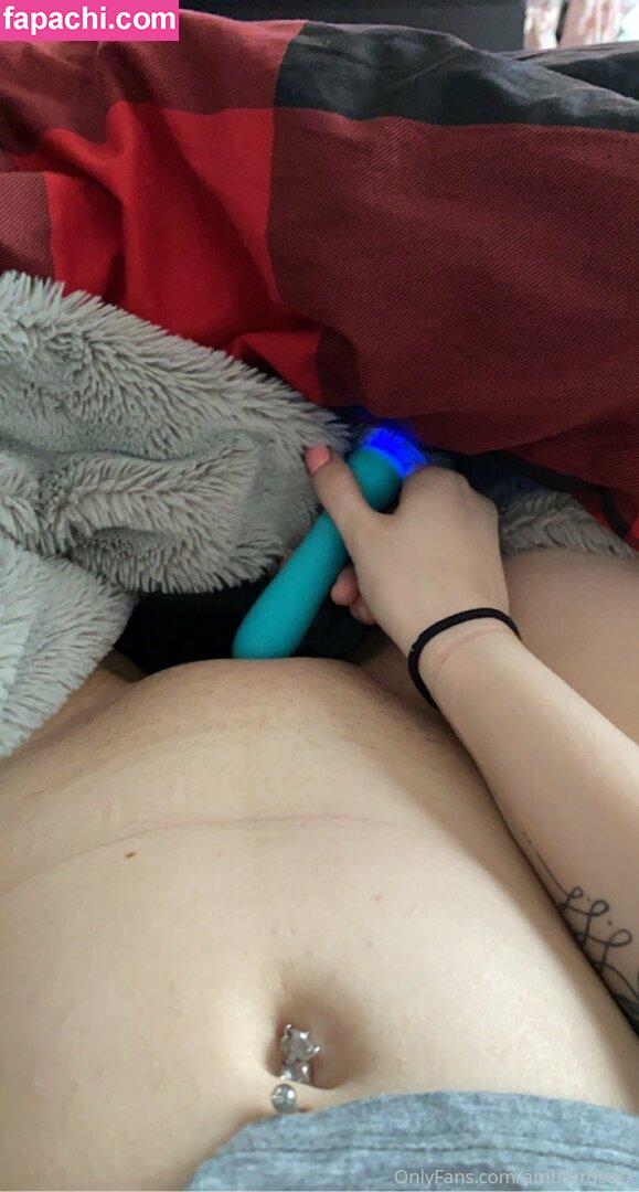amberrosecx / cx.rose.cx leaked nude photo #0004 from OnlyFans/Patreon