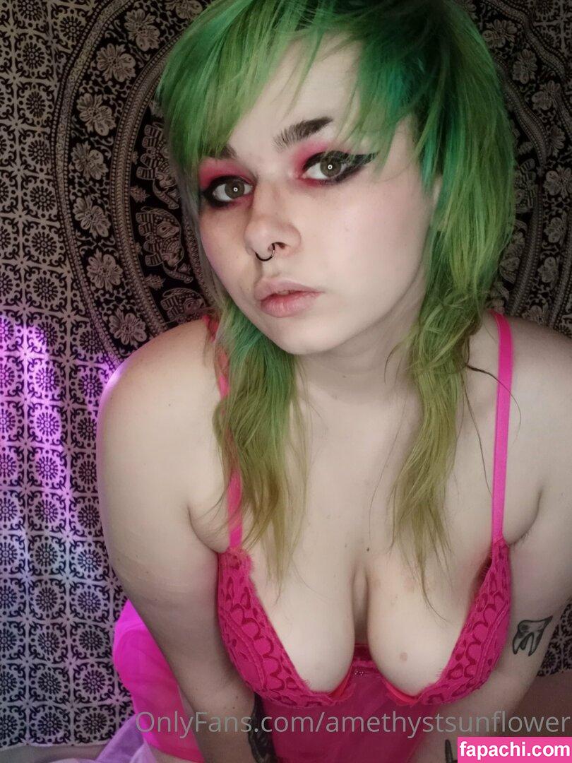 amethystsunflower leaked nude photo #0023 from OnlyFans/Patreon