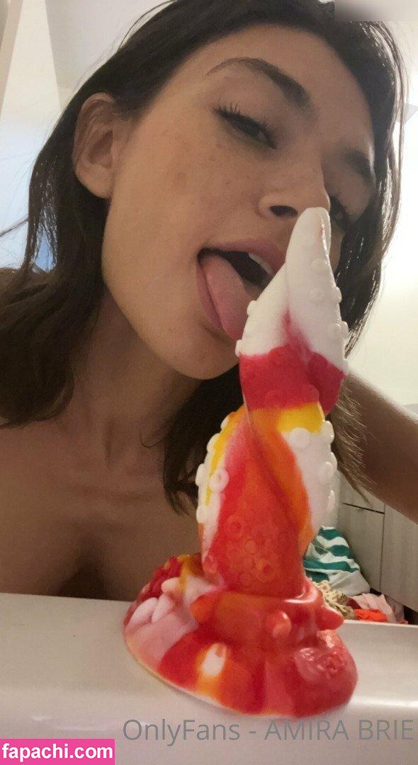 Amira Brie / amirabrie leaked nude photo #0148 from OnlyFans/Patreon