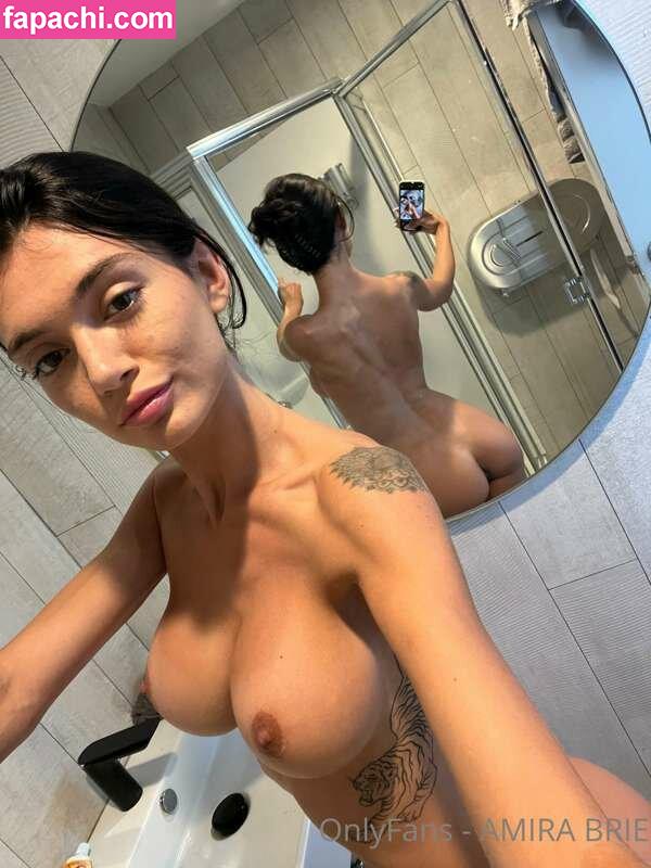 Amira Brie / amirabrie leaked nude photo #0235 from OnlyFans/Patreon