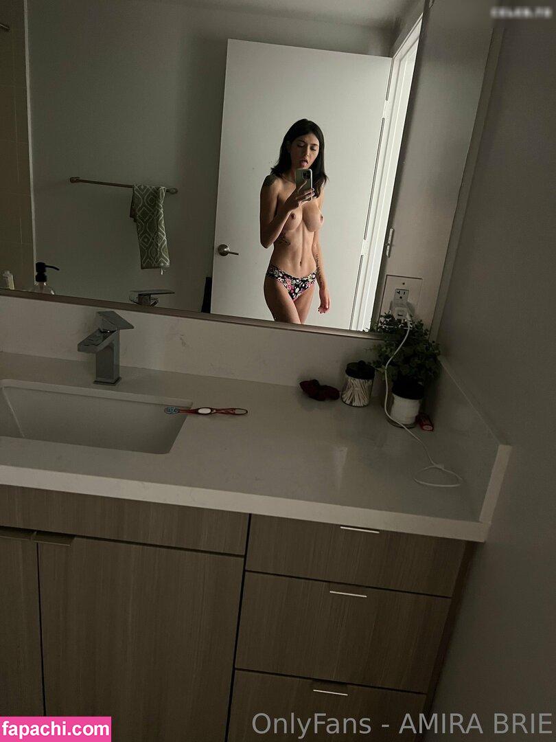 Amira Brie / amirabrie leaked nude photo #0253 from OnlyFans/Patreon