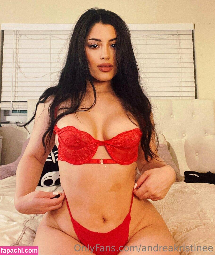 andreakristinee leaked nude photo #0003 from OnlyFans/Patreon