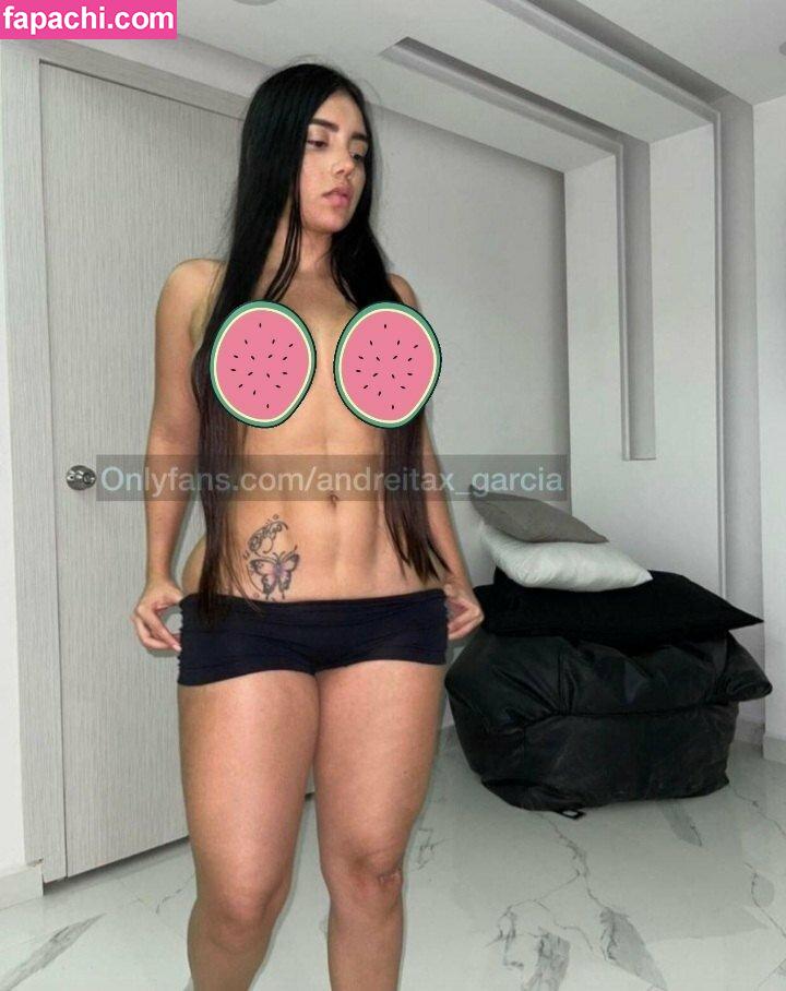 andreitaxpremium / andreittafit leaked nude photo #0065 from OnlyFans/Patreon