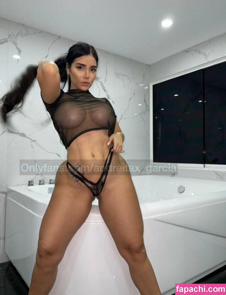 andreitaxpremium / andreittafit leaked nude photo #0083 from OnlyFans/Patreon