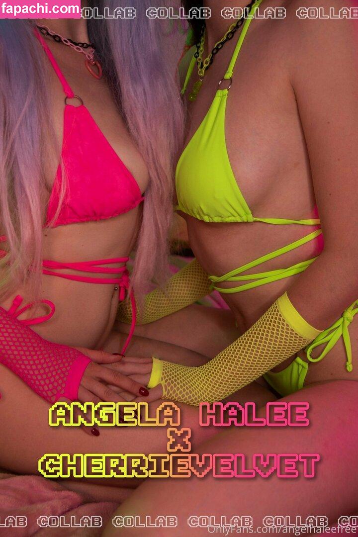 angelahalee / kittyangelahalee leaked nude photo #0056 from OnlyFans/Patreon