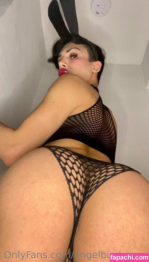 angelbimboxxx leaked nude photo #0048 from OnlyFans/Patreon
