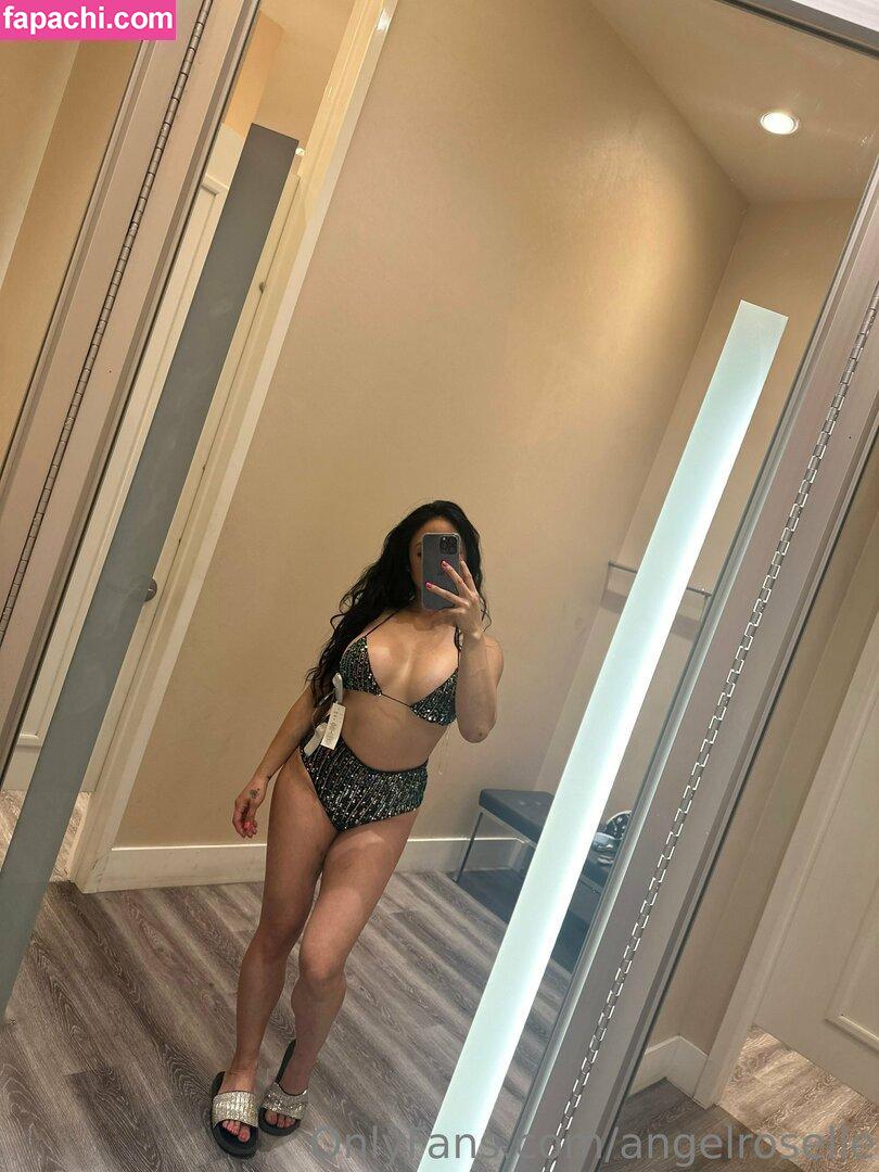 angelroselle leaked nude photo #0028 from OnlyFans/Patreon
