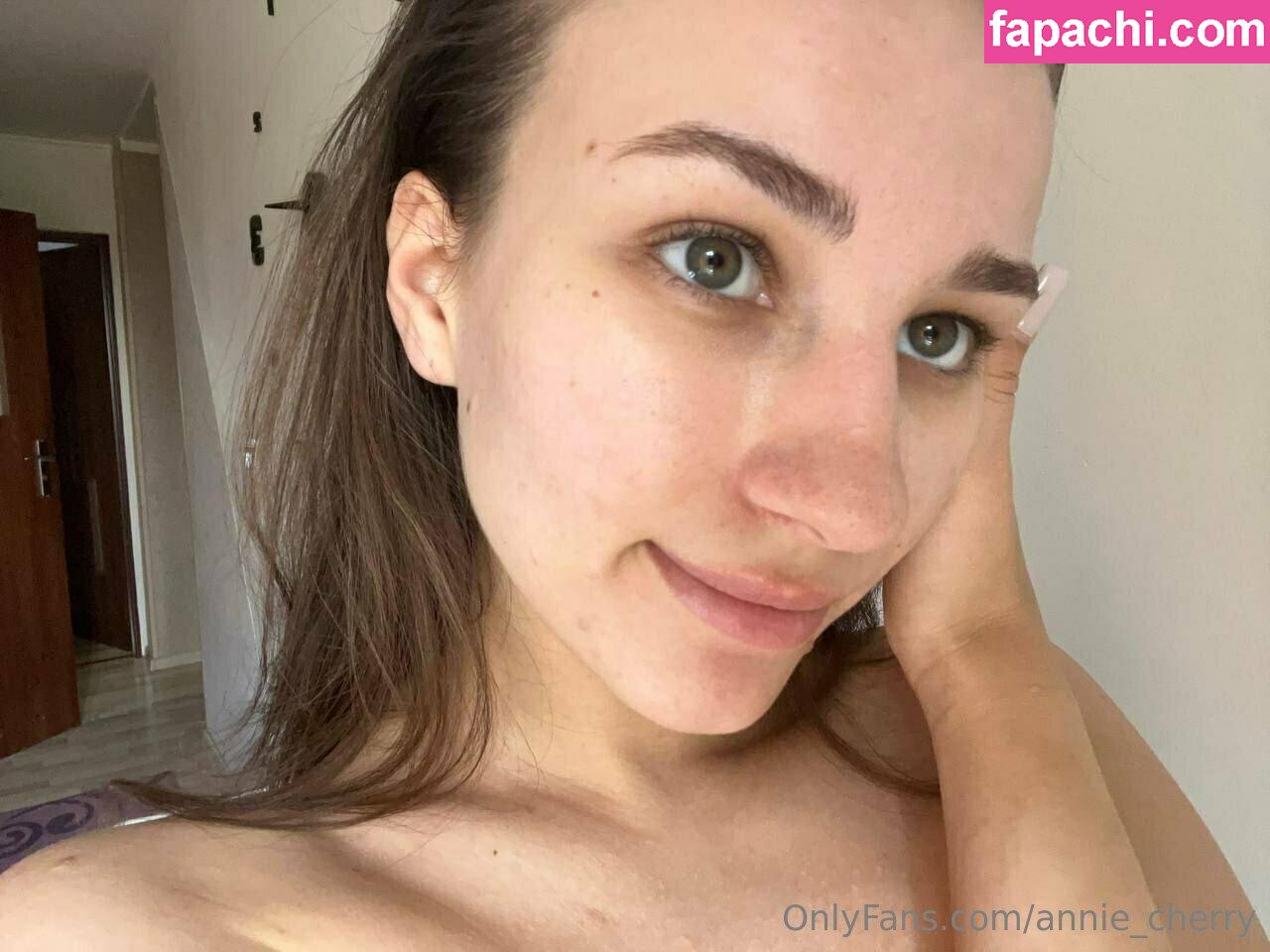 annie_cherry / theanniecherry leaked nude photo #0126 from OnlyFans/Patreon