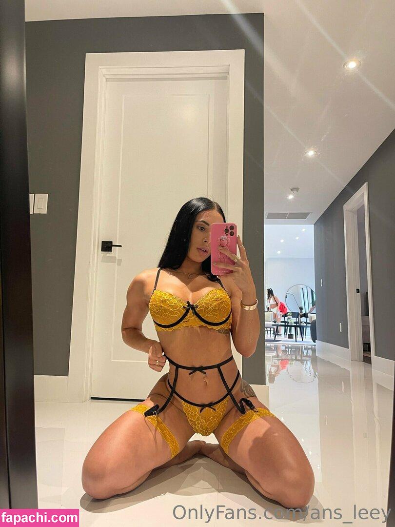 ans_leey leaked nude photo #0036 from OnlyFans/Patreon