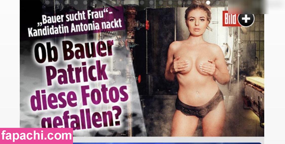 Antonia Hemmer / antonia_hemmer leaked nude photo #0063 from OnlyFans/Patreon