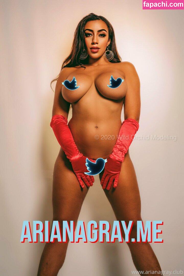 arianagrayfree / arianagrande leaked nude photo #0107 from OnlyFans/Patreon