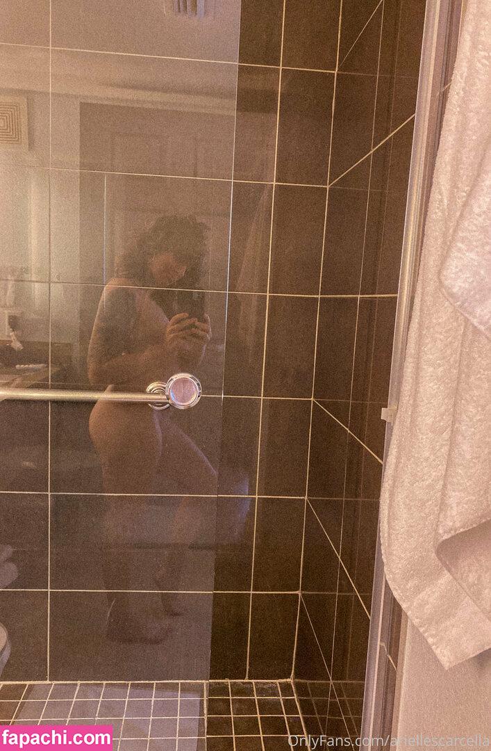 ariellescarcella / arielle_scarcella leaked nude photo #0020 from OnlyFans/Patreon