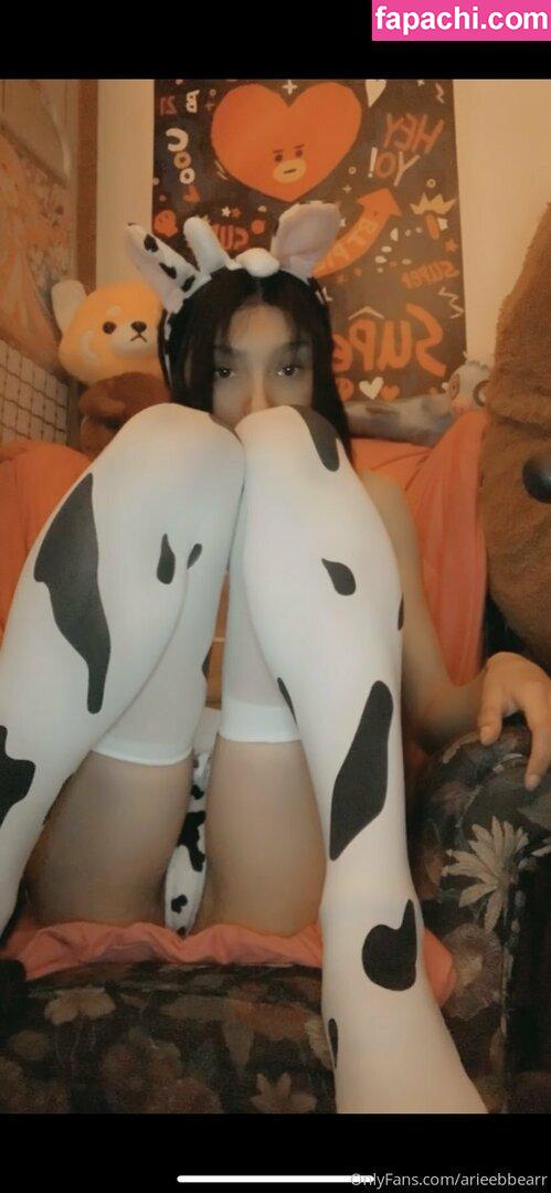 arieneko / ariebear / arieeneko leaked nude photo #0035 from OnlyFans/Patreon