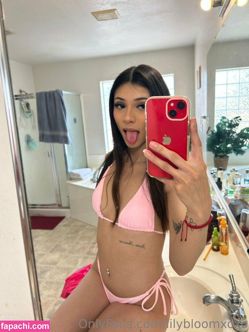 ariiadams / arialiu / ariiadam / lilybloomxoxo leaked nude photo #0067 from OnlyFans/Patreon