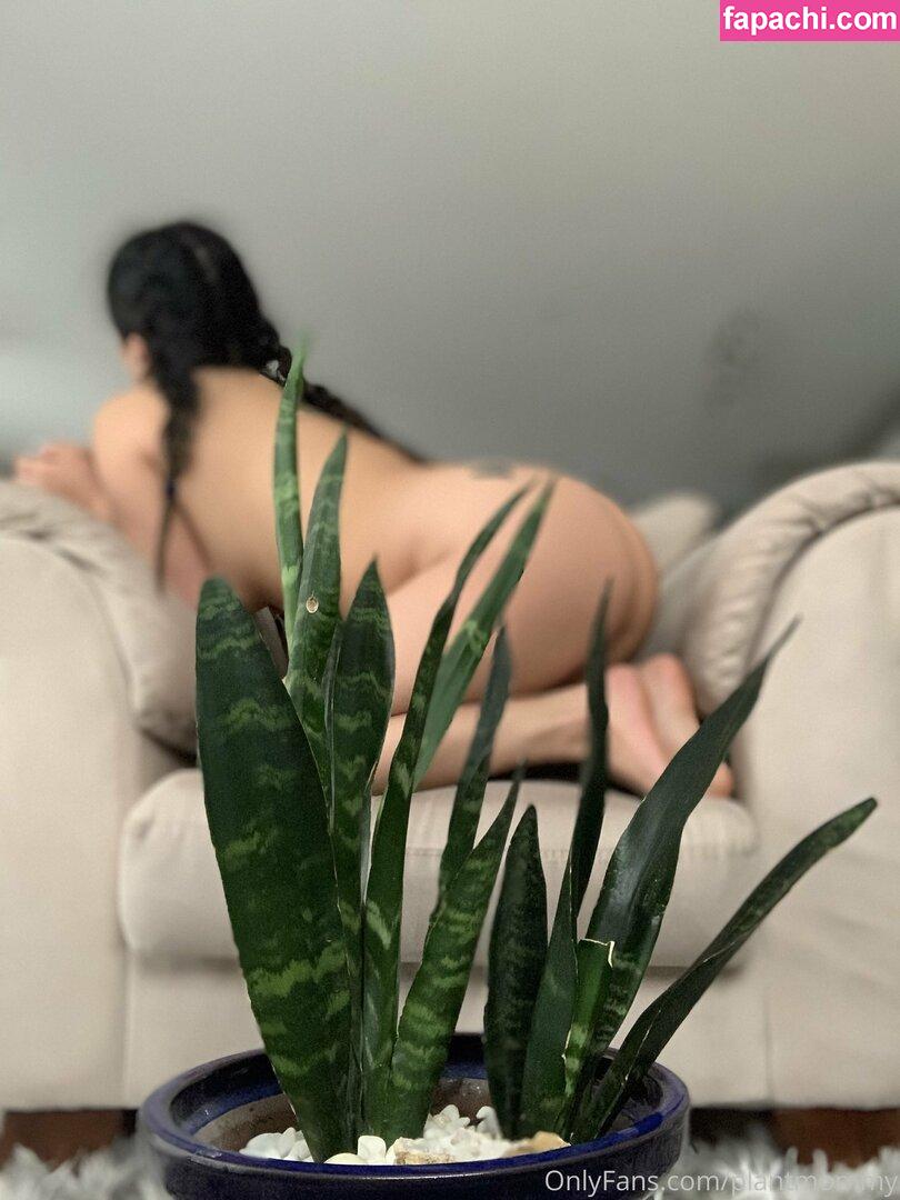 asia.asahi leaked nude photo #0013 from OnlyFans/Patreon