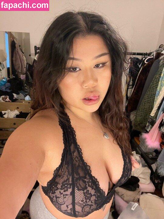 Asian Thottie / asian-thottie / asianhottiez leaked nude photo #0002 from OnlyFans/Patreon
