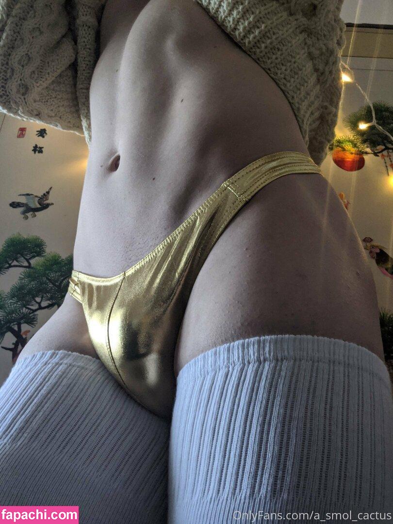 asmolcactus / avatar_of_trash_ leaked nude photo #0085 from OnlyFans/Patreon