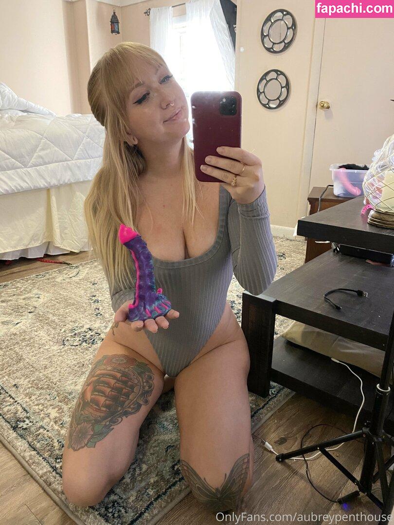 aubreypenthouse leaked nude photo #0065 from OnlyFans/Patreon