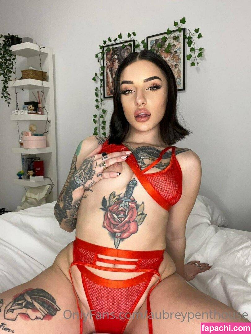 aubreypenthouse leaked nude photo #0073 from OnlyFans/Patreon