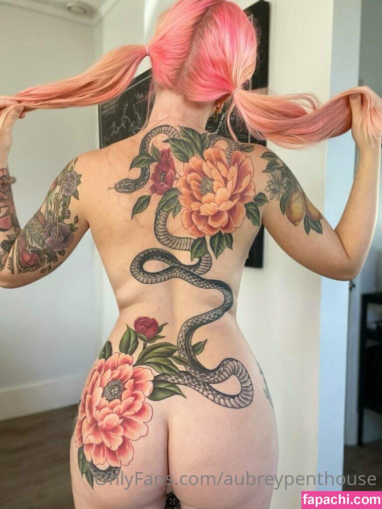 aubreypenthouse leaked nude photo #0134 from OnlyFans/Patreon