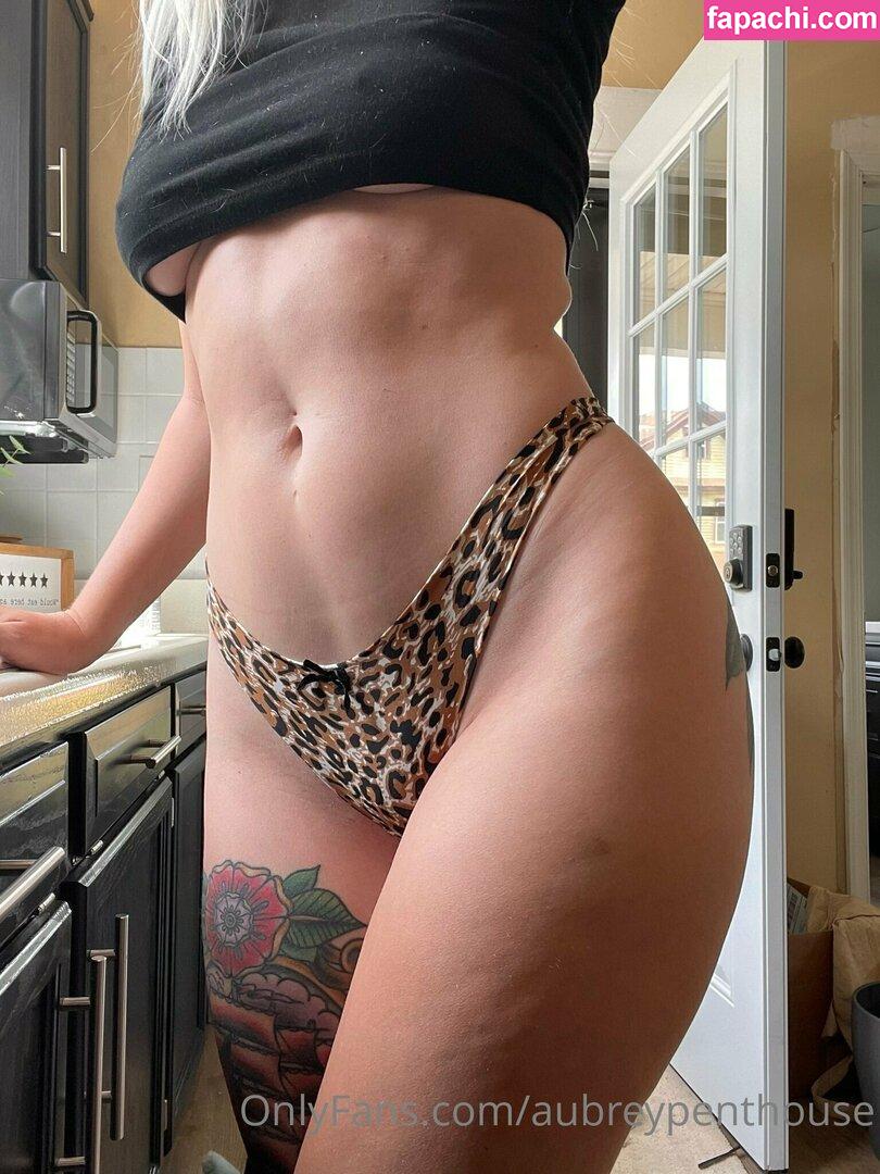 aubreypenthouse leaked nude photo #0248 from OnlyFans/Patreon