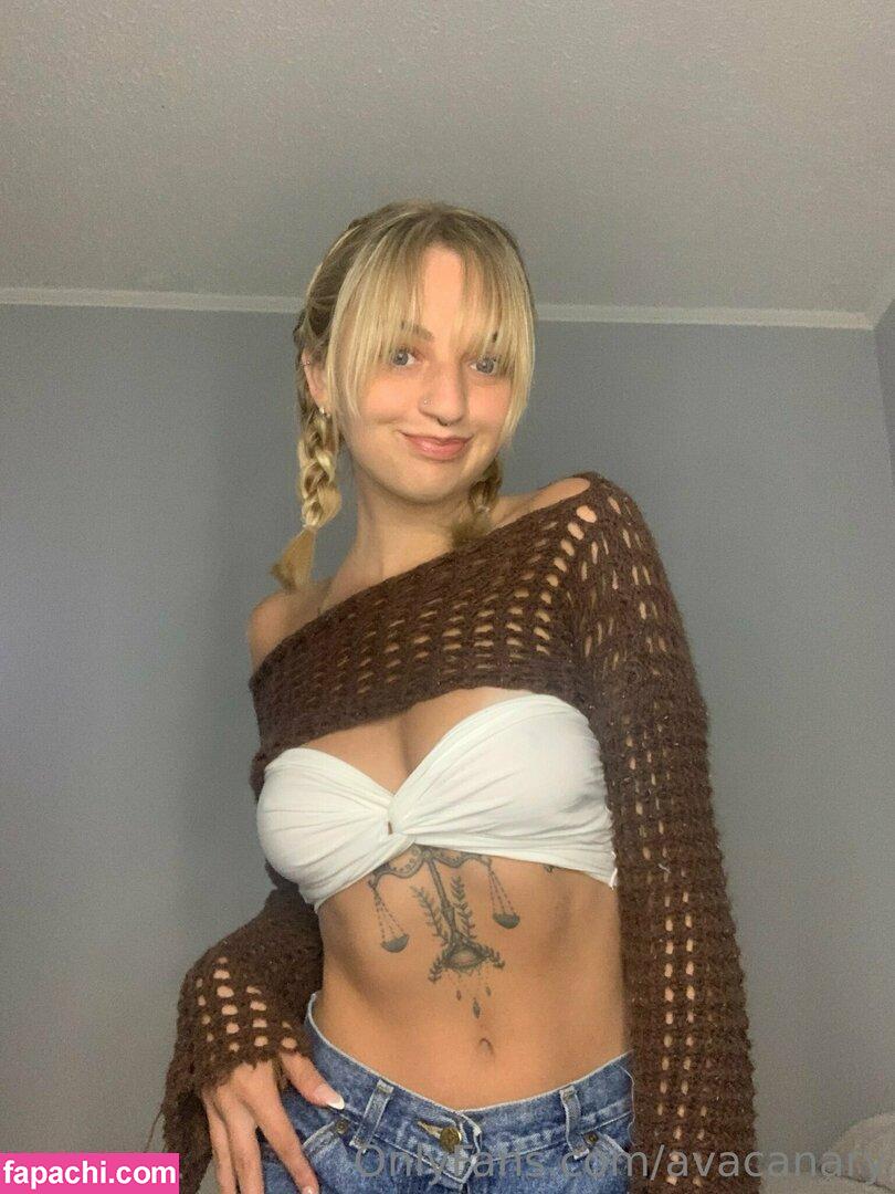 avacanary leaked nude photo #0090 from OnlyFans/Patreon