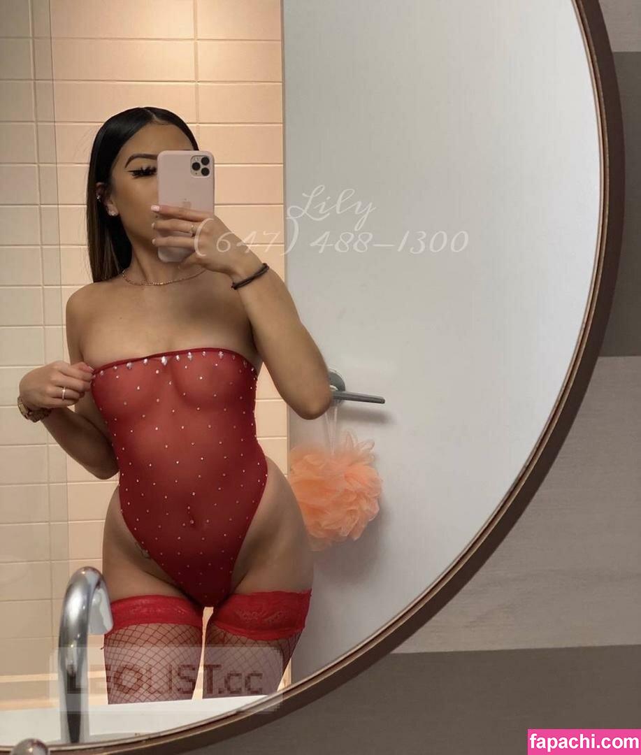 Baby Lily / babylilyxxx / brittikitty leaked nude photo #0041 from OnlyFans/Patreon