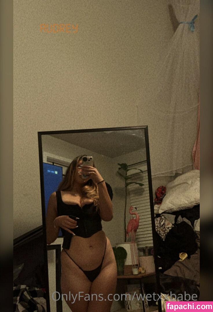 babyaudreyyx / acn421 / audreyxxbaby / wetxxbabe leaked nude photo #0005 from OnlyFans/Patreon