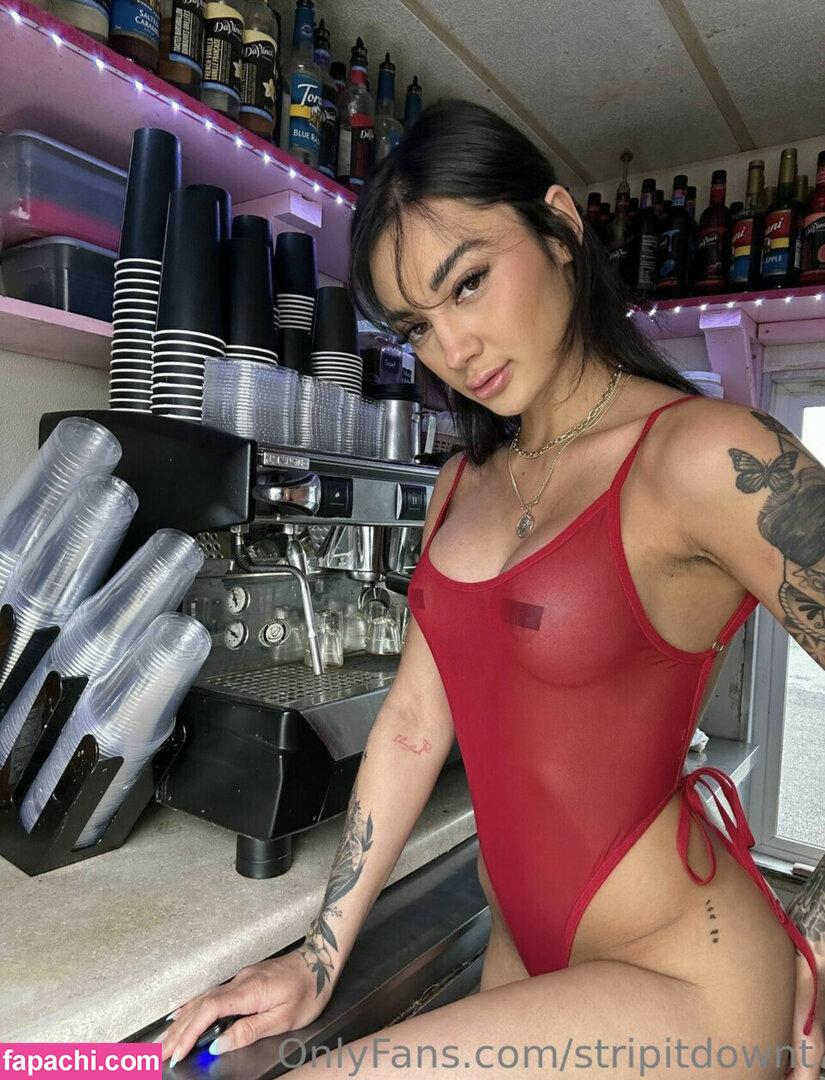 Baristatbaby / stripitdownt leaked nude photo #0041 from OnlyFans/Patreon