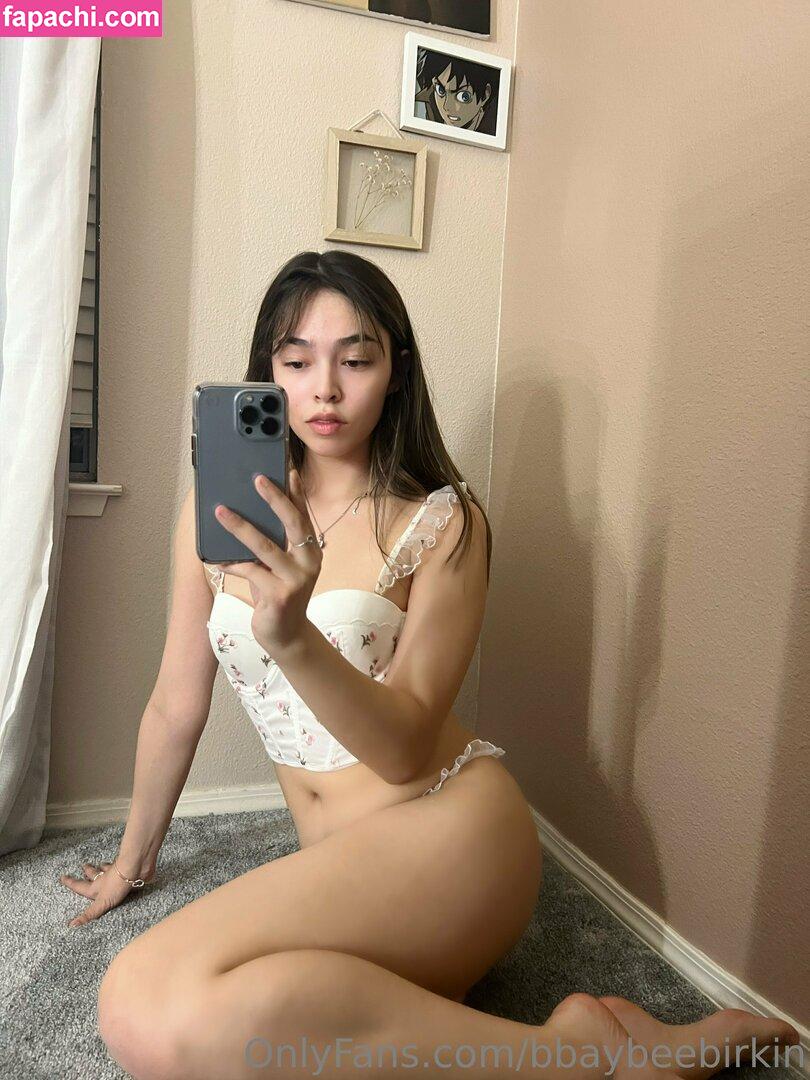 Bbaybeebirkin leaked nude photo #0017 from OnlyFans/Patreon