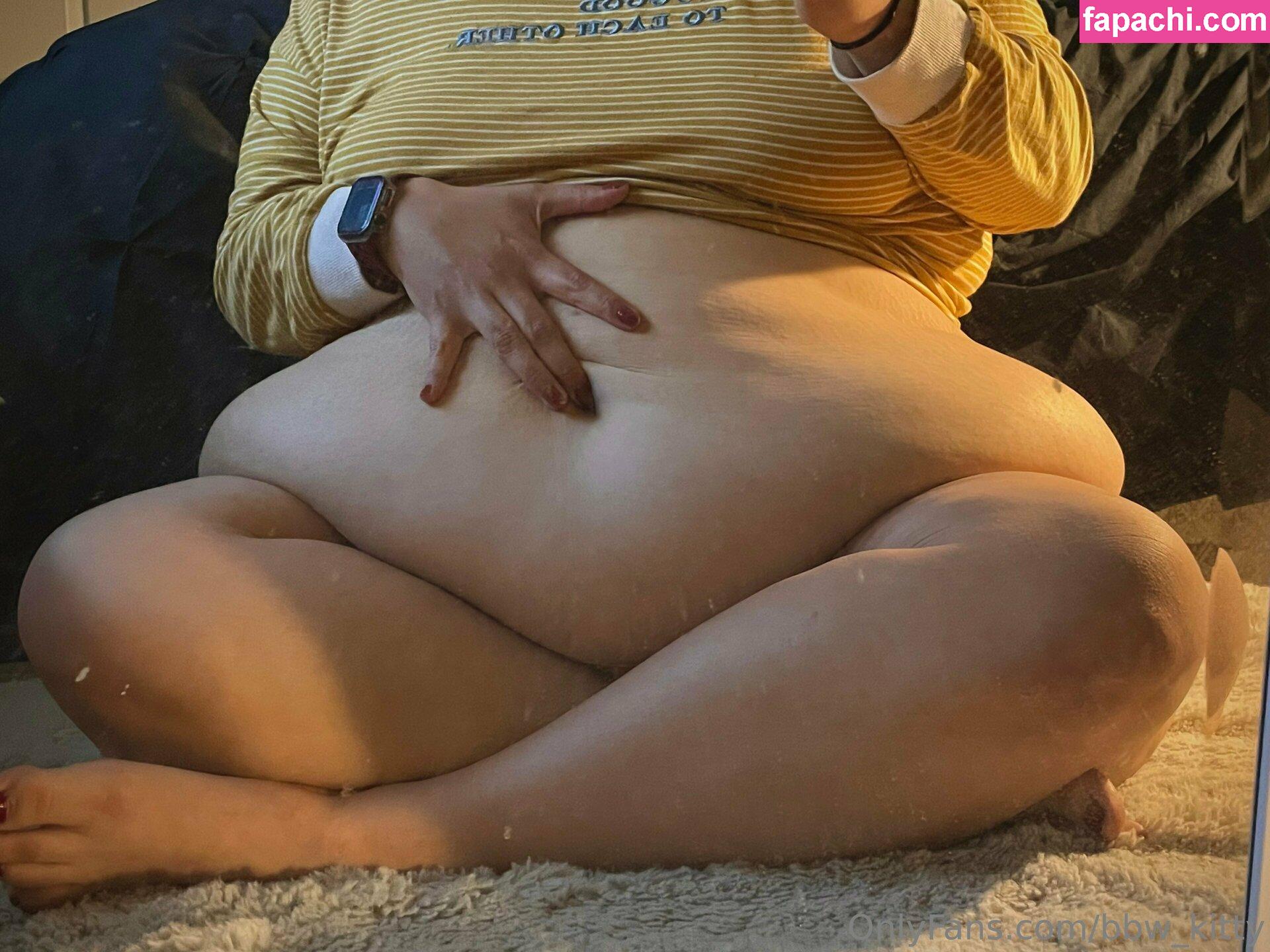 bbw_kitty / xbbw_kitty leaked nude photo #0113 from OnlyFans/Patreon