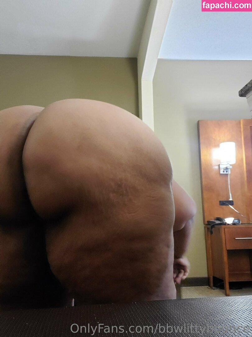 bbwlittybounce leaked nude photo #0012 from OnlyFans/Patreon