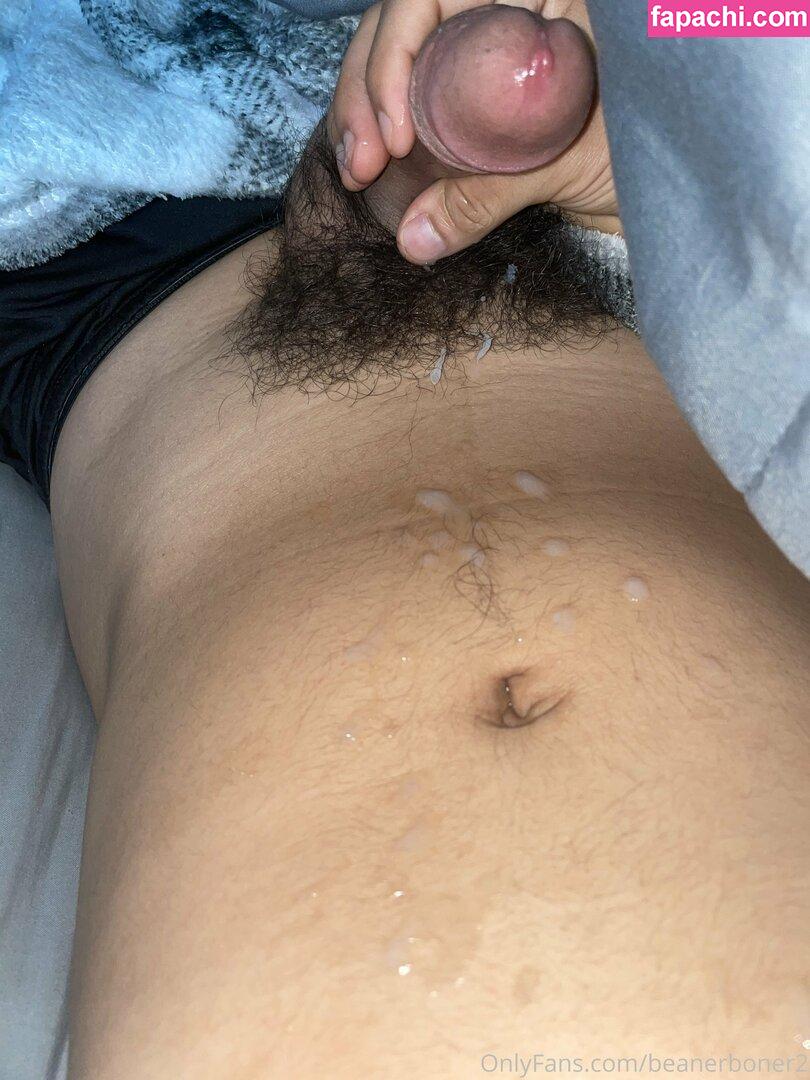 beanerboner2 / beanerz248 leaked nude photo #0006 from OnlyFans/Patreon