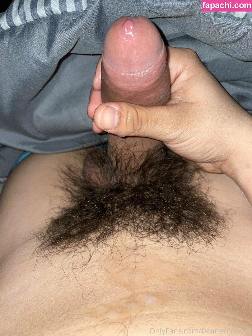 beanerboner2 / beanerz248 leaked nude photo #0027 from OnlyFans/Patreon