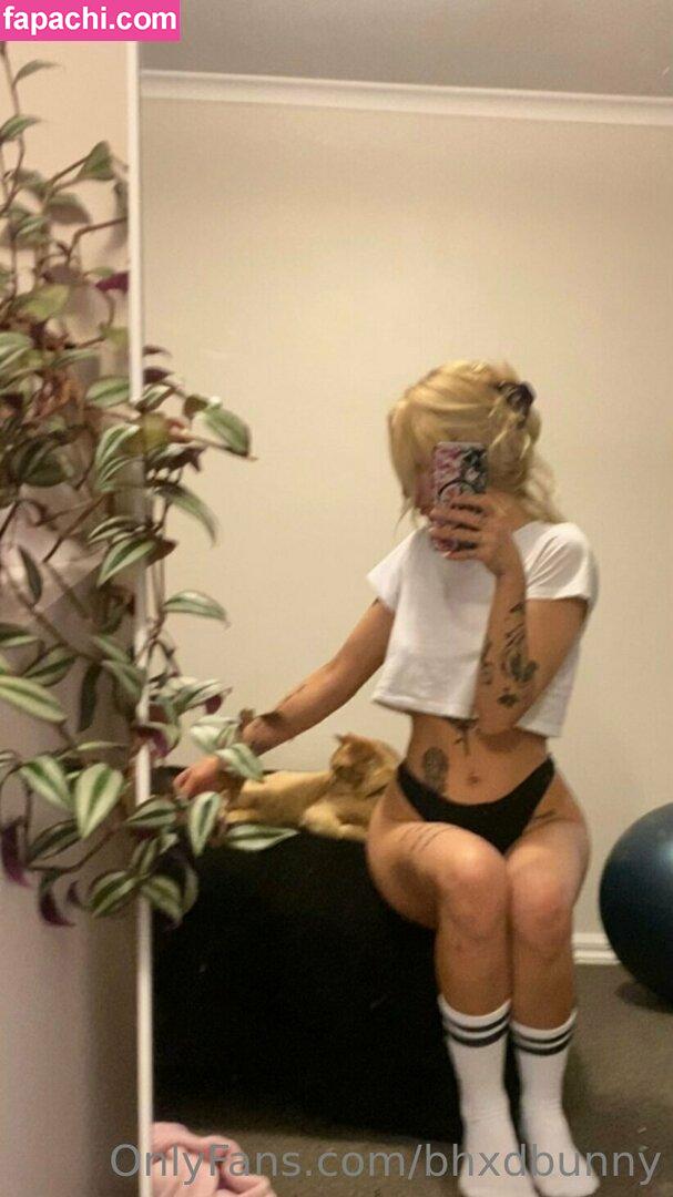bhxdbunny / badbunnypr leaked nude photo #0016 from OnlyFans/Patreon