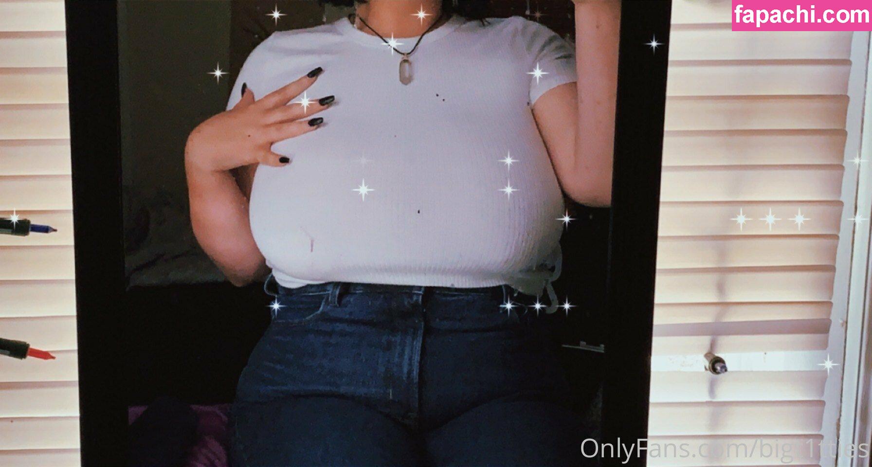 bigt1tties leaked nude photo #0004 from OnlyFans/Patreon