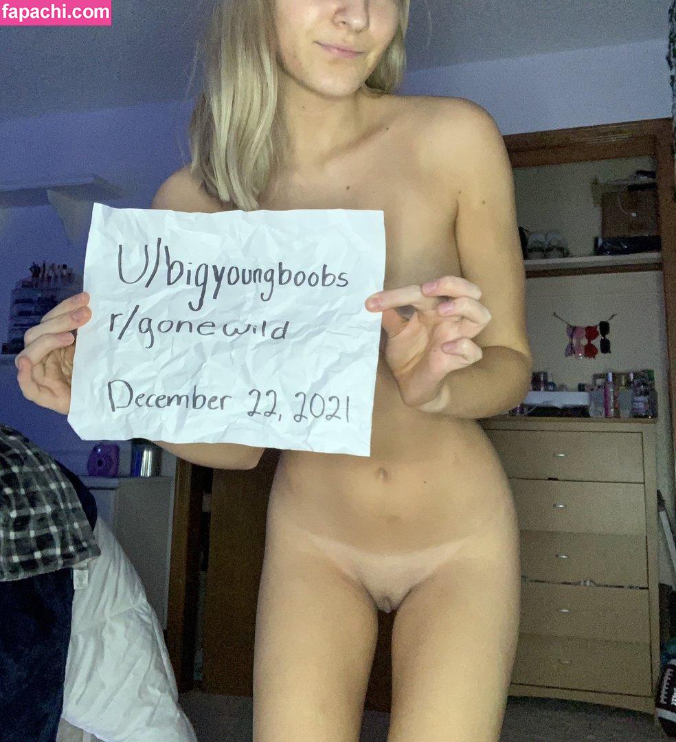 BigYoungBoobs leaked nude photo #0002 from OnlyFans/Patreon