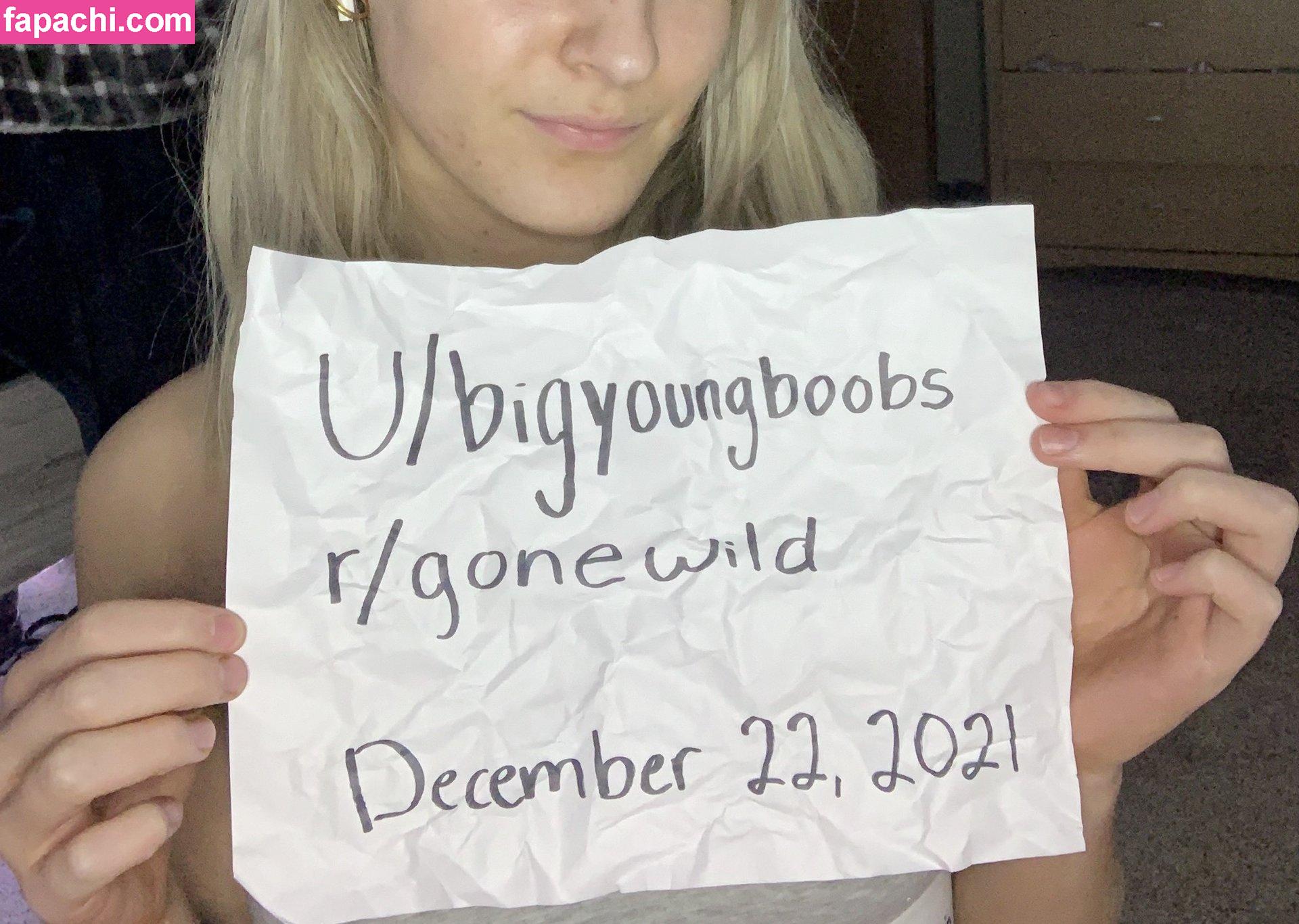 BigYoungBoobs leaked nude photo #0007 from OnlyFans/Patreon