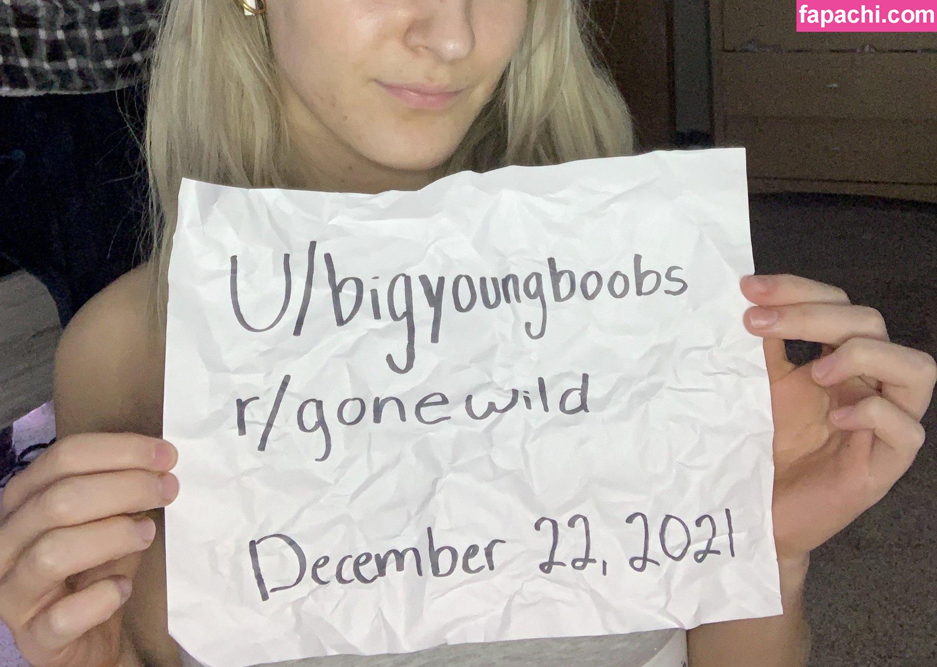 BigYoungBoobs leaked nude photo #0008 from OnlyFans/Patreon